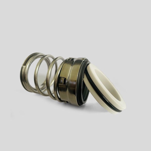 Type 1 mechanical seals